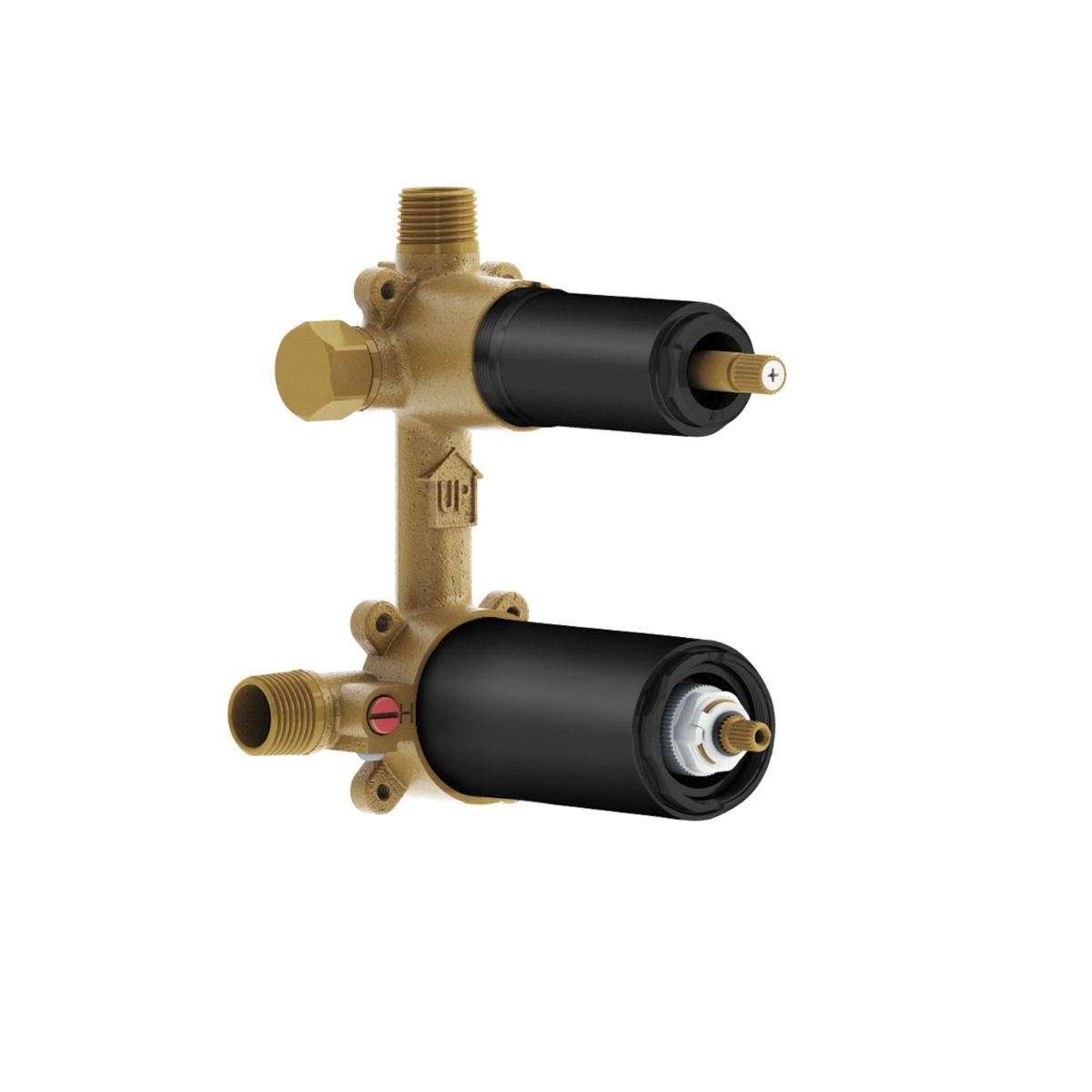 Valve 1/2'' de Type T/P AQUATONIK™ avec Sélecteur Intégré 2 Voies et Couvert de Protection en ABS Noir Mat