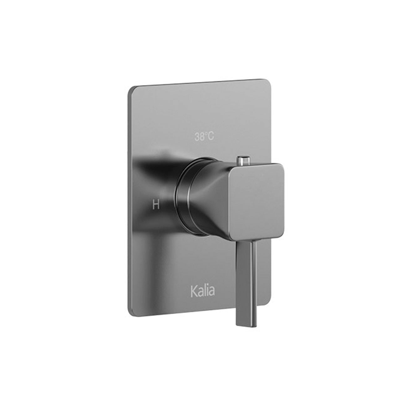 Finition Carrée pour Valve Coaxiale 1/2'' de Type T/P avec Sélecteur Intégré 2 Voies Chrome