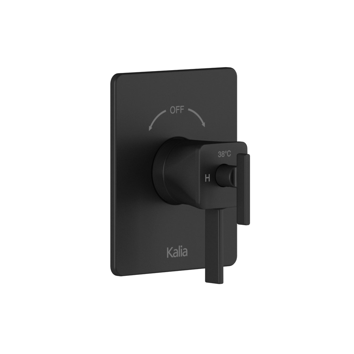 Finition Carrée pour Valve Coaxiale 1/2'' de Type T/P avec Sélecteur Intégré 2 Voies Noir Mat