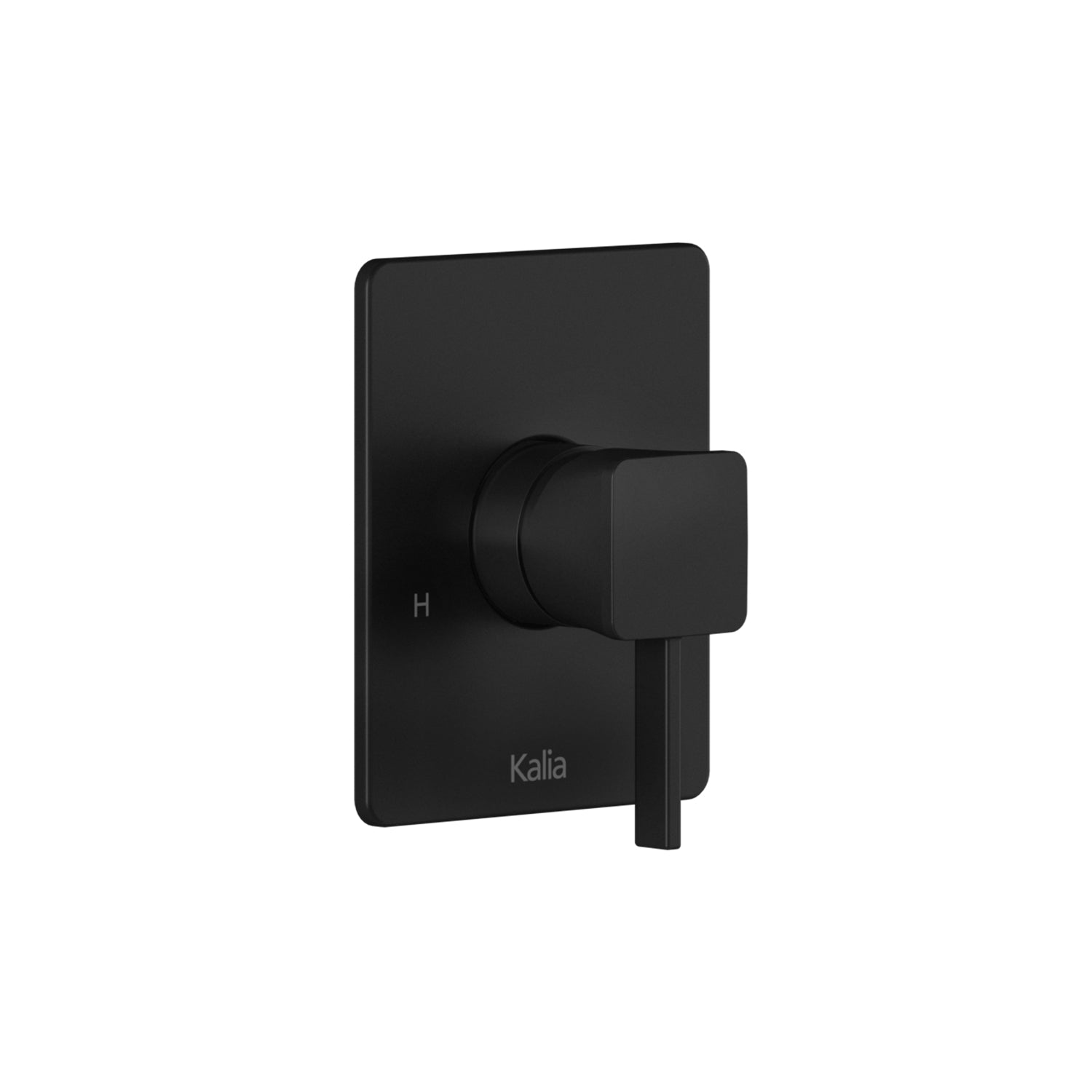 Finition Carrée pour Valve à Pression Équilibrée ½'' avec Contrôle de Volume - Cartouche Incluse Noir Mat