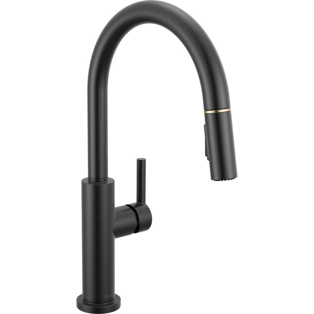 Nicoli kitchen faucet by Delta
