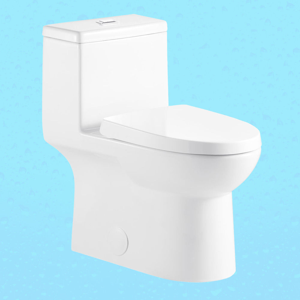 toilette-monopiece-projekt