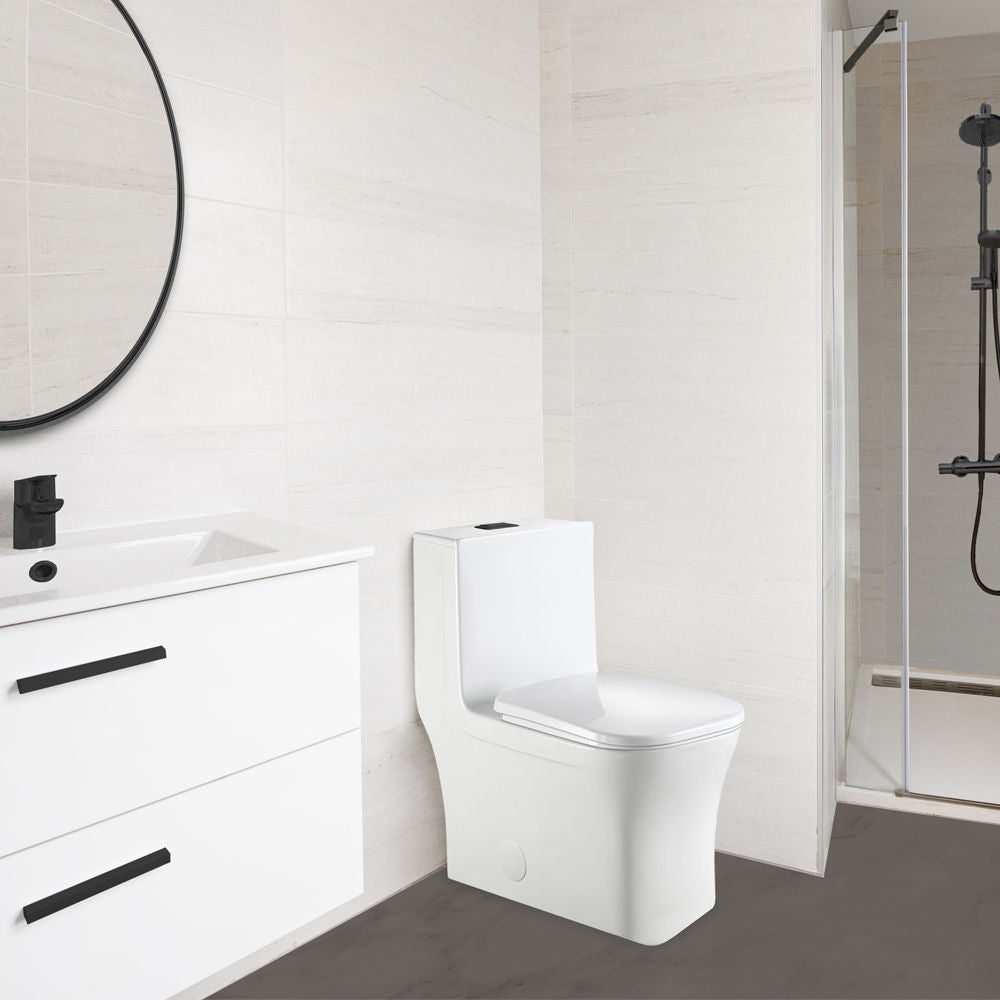 toilette-monopiece-fl-double-flush