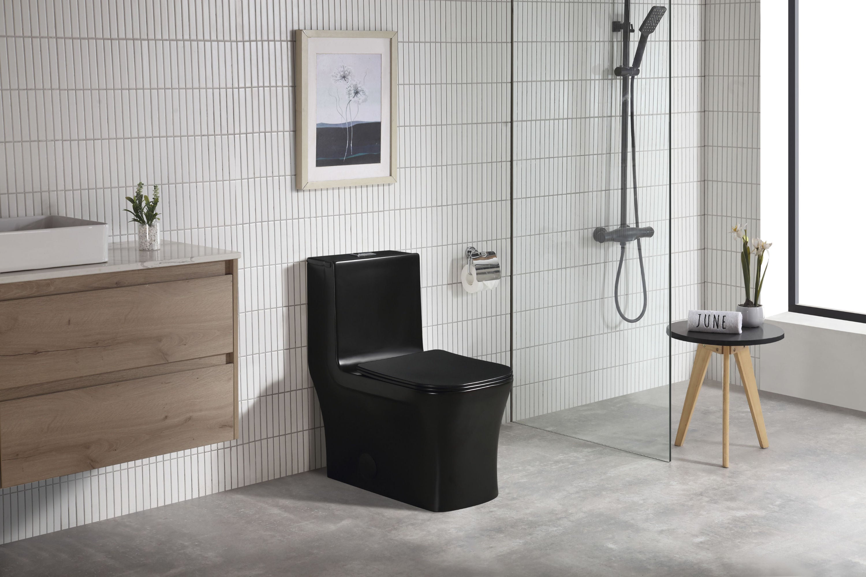 toilette-monopiece-fl-double-flush