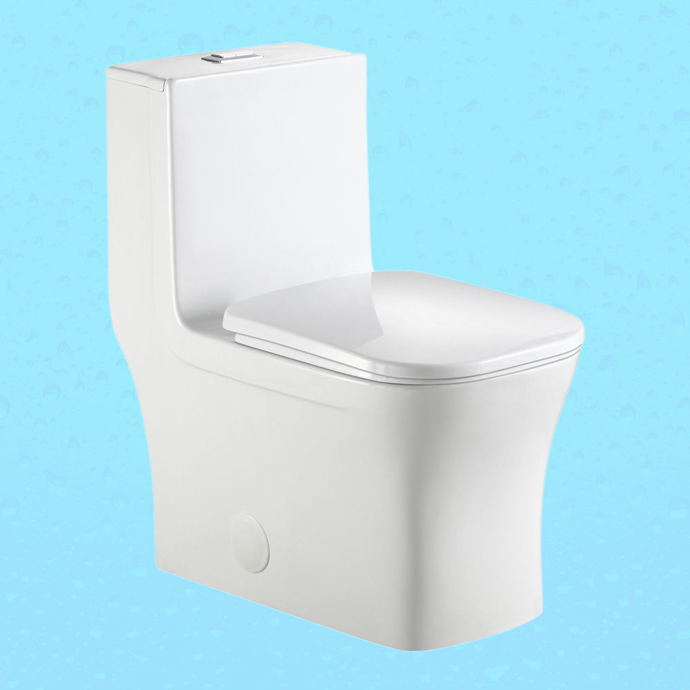 toilette-monopiece-fl-double-flush
