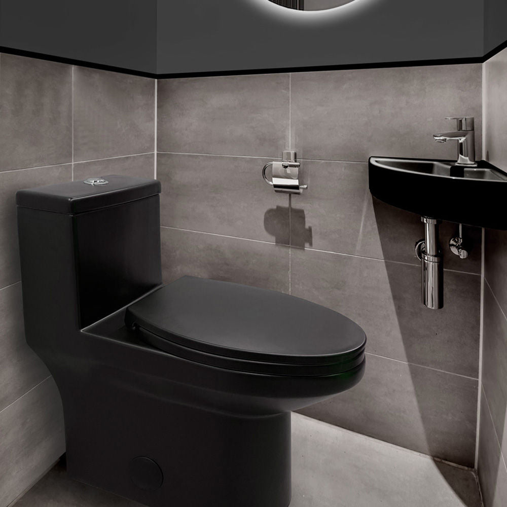 toilette-monopiece-ada-double-flush