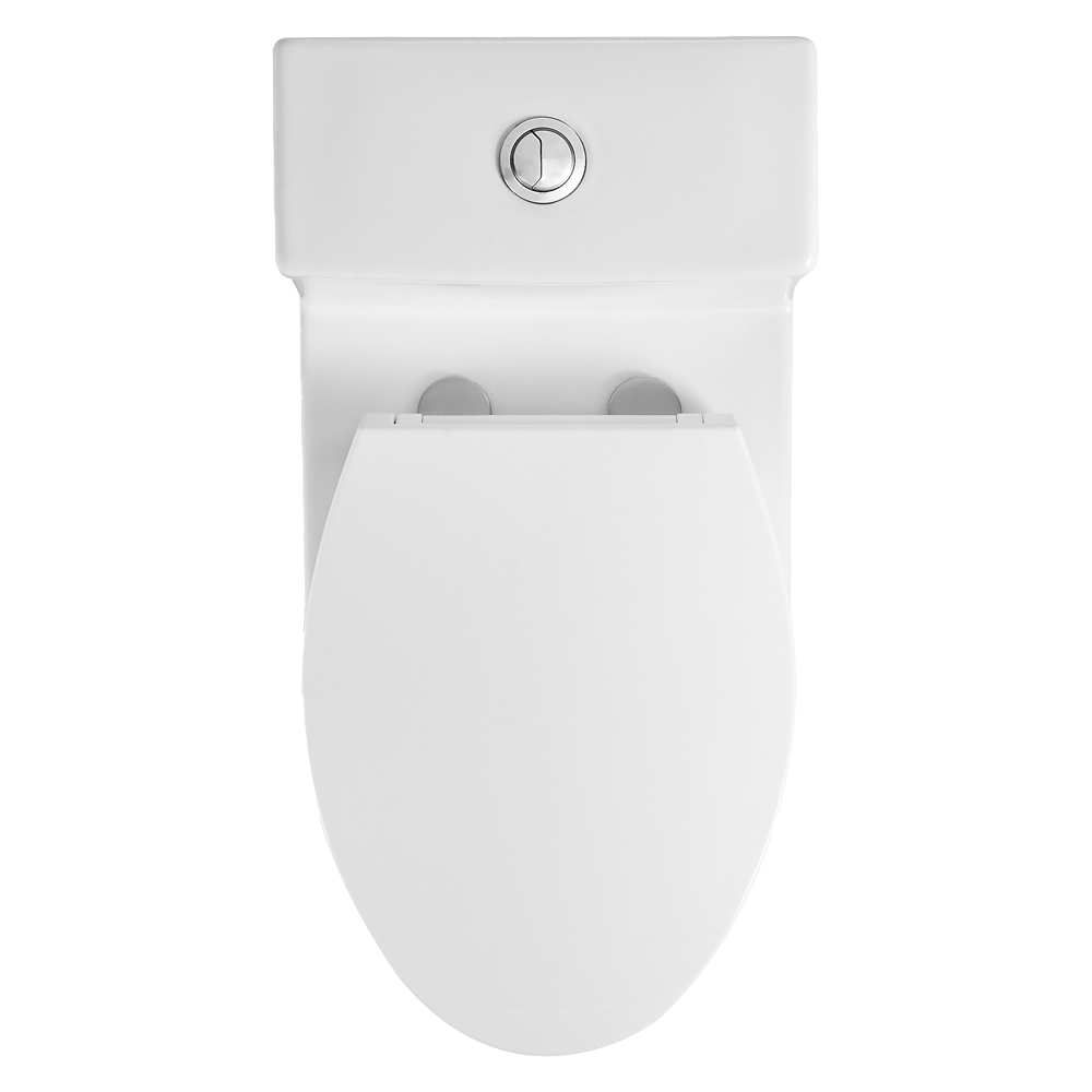 Lotus One-Piece Toilet (10") Dual Flush ADA