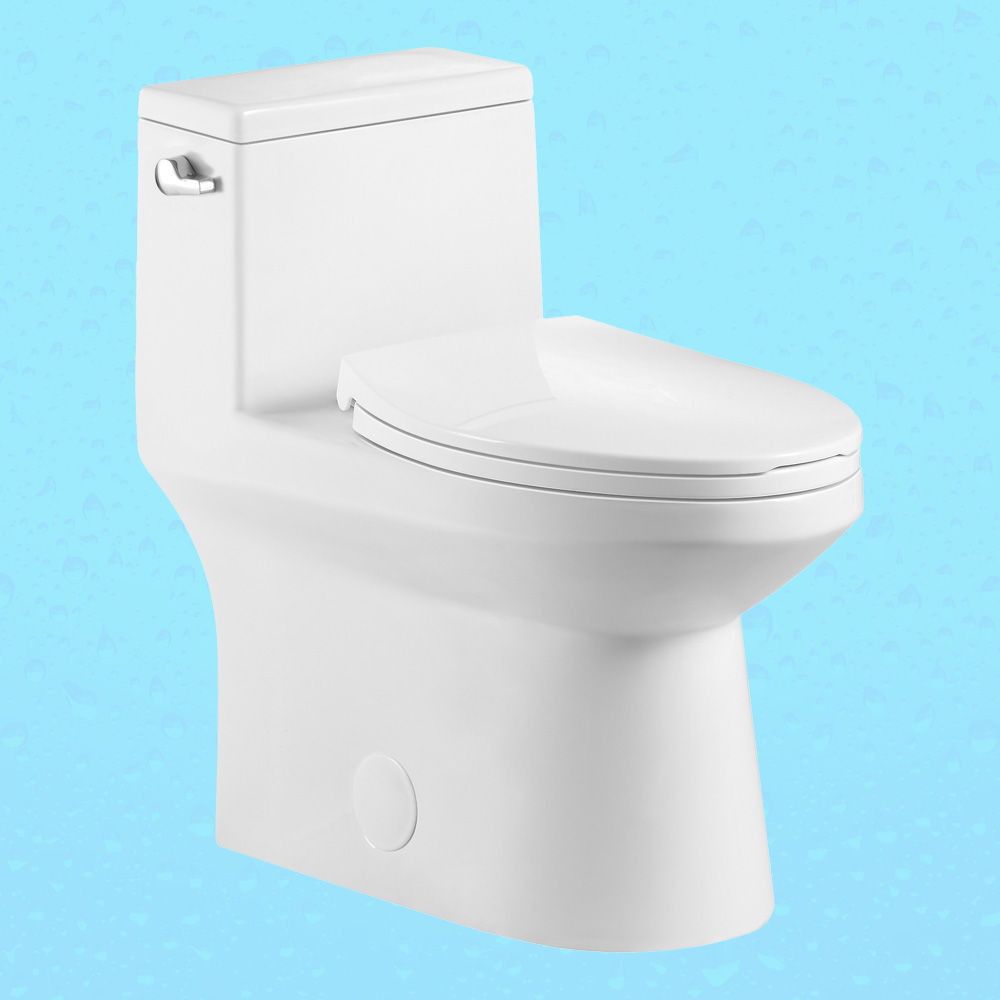 toilette-monopiece-ada-simple-chasse