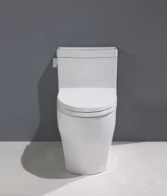 CEFIONTECT® ONE-PIECE ELONGATED UNIVERSAL HEIGHT 1.28 GPF TOILET WITH SEAT