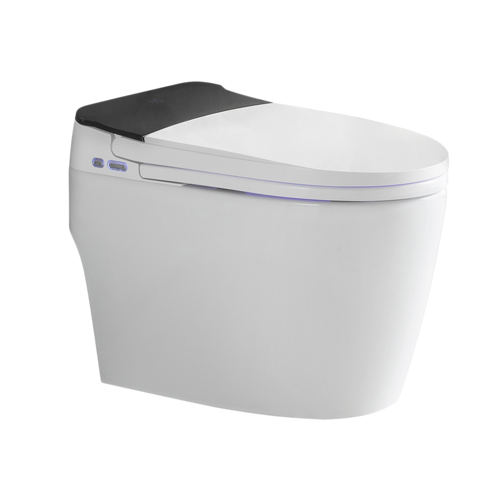 Toilette intelligente IQ+