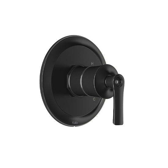RUSTIK™ Valve 1/2'' Type T/P AQUATONIK™ and Black Finish