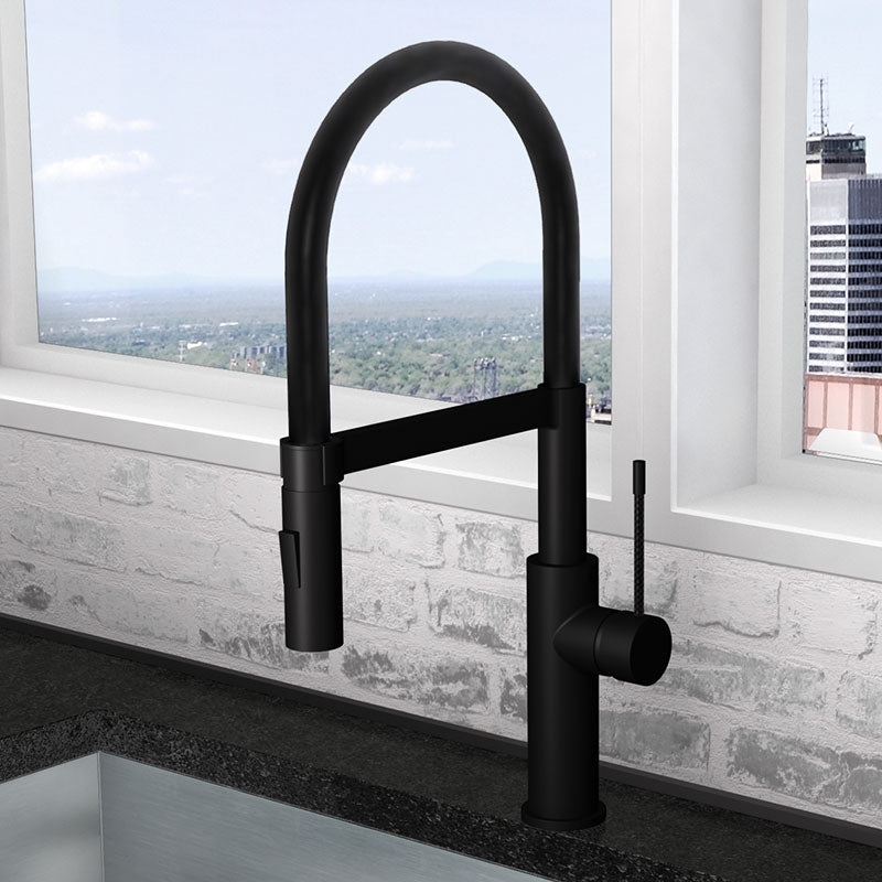 Robinet de cuisine mono-commande de style professionnel