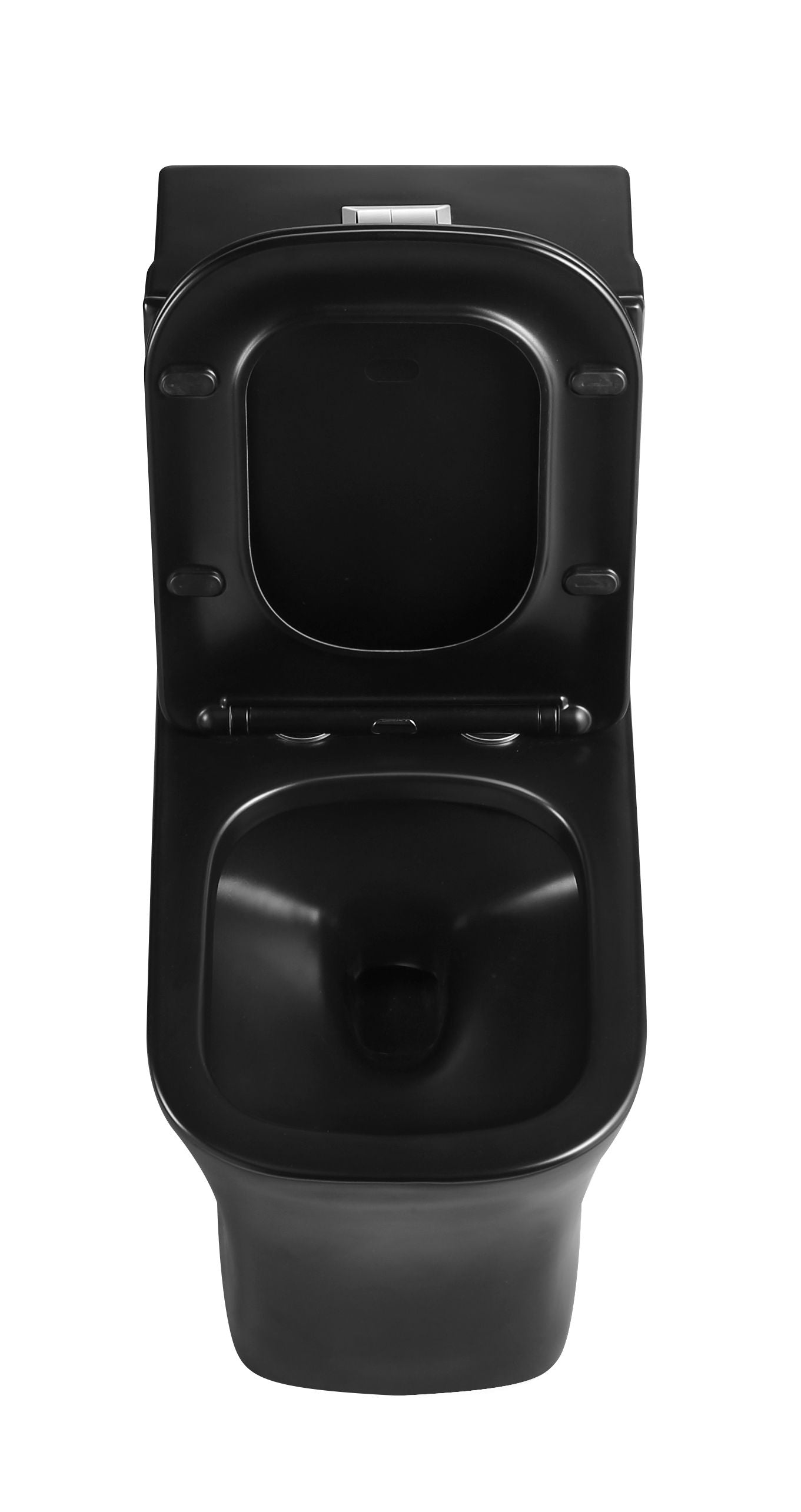 toilette-monopiece-fl-double-flush