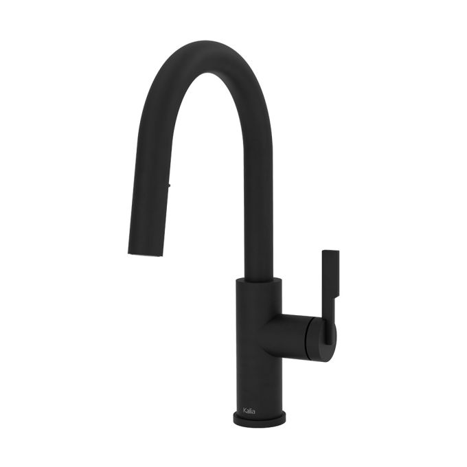 FORGE Type-R BAR robinet de cuisine monocommande douchette extensible, 2 jets