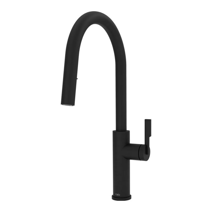 FORGE Type-R robinet de cuisine monocommande douchette extensible, 2 jets