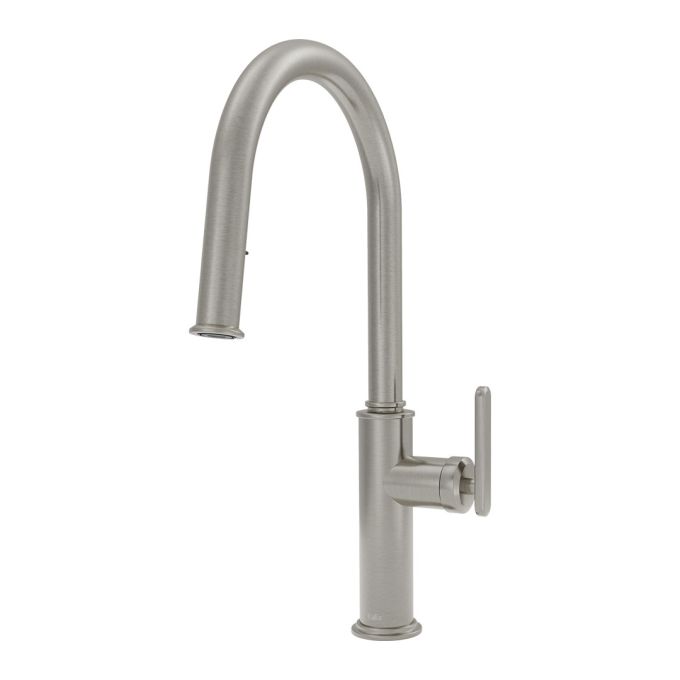 FORGE Type-T single handle kitchen faucet pull-down dual spray