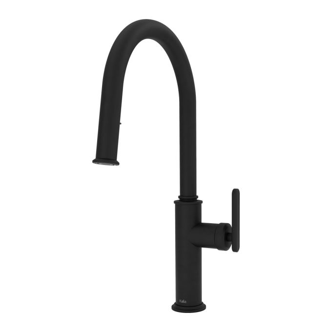 FORGE Type-T single handle kitchen faucet pull-down dual spray