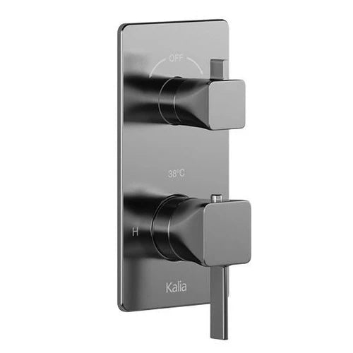 Square Finish for 1/2" Type T/P Valve with Integrated 2 or 3 Way Selector, Matte Black