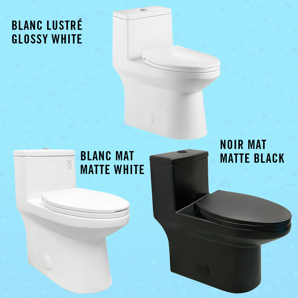 toilette-monopiece-ada-10-po-double-flush