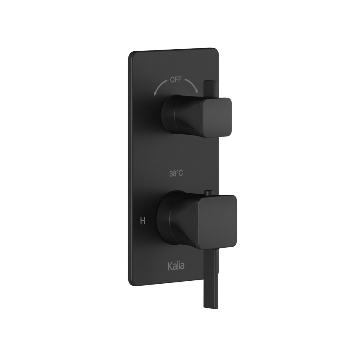 Finition Carrée pour Valve 1/2'' de Type T/P avec Sélecteur Intégré 2 ou 3 Voies Noir Mat