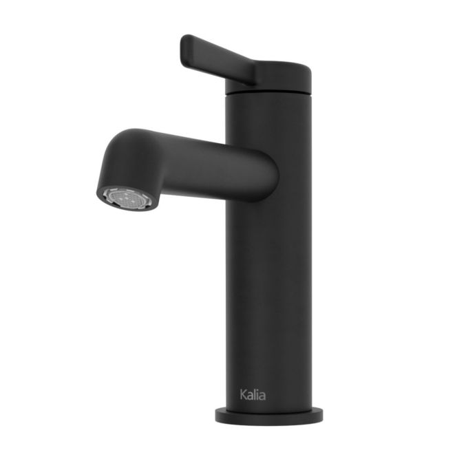 ELVA Single hole lavatory faucet without drain