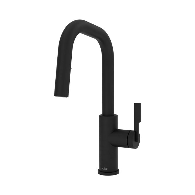 FORGE Type-S BAR robinet de cuisine monocommande douchette extensible, 2 jets