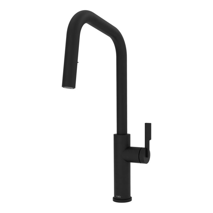 FORGE Type-S single-handle kitchen faucet with pull-down sprayer, 2 sprays