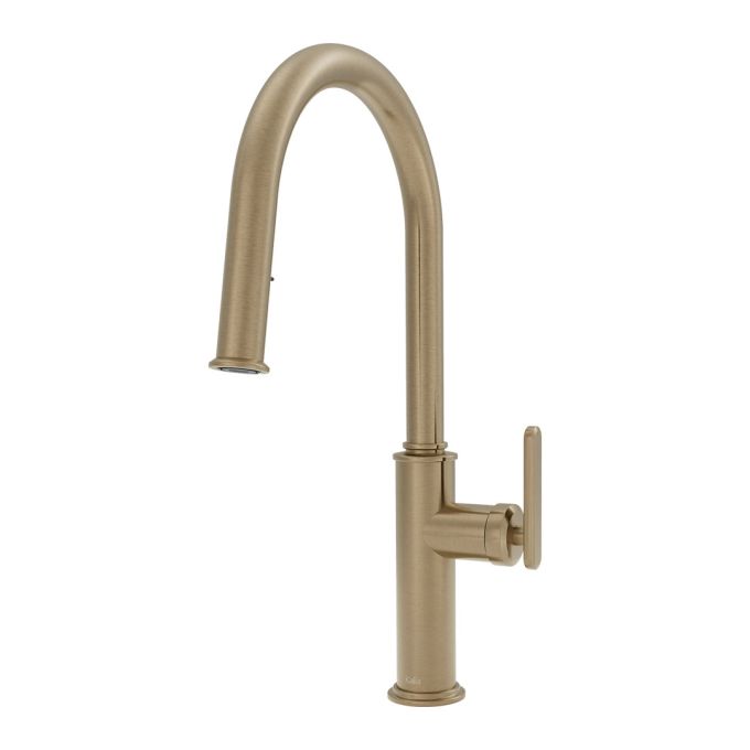 FORGE Type-T single handle kitchen faucet pull-down dual spray