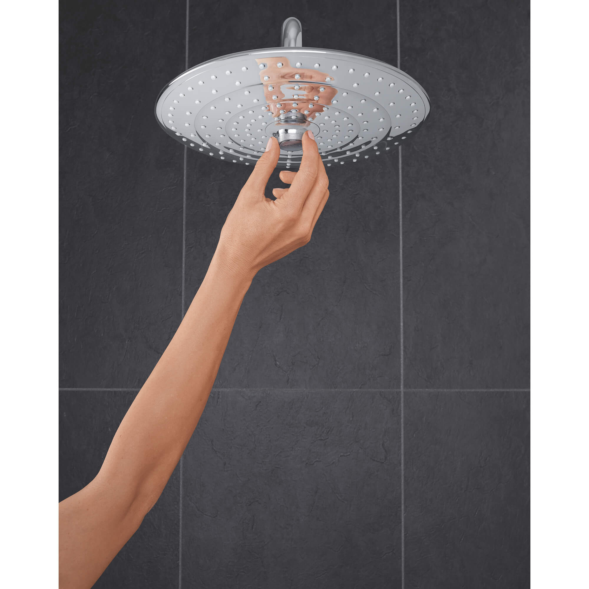 Euphoria 260 douche de tête 8